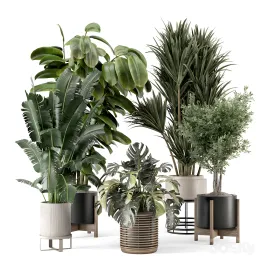 Indoor plants in ferm living bau pot large